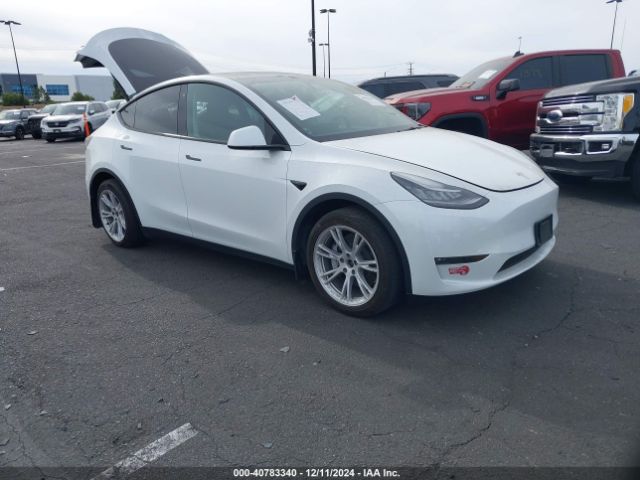 TESLA MODEL Y 2021 5yjygdee4mf230027