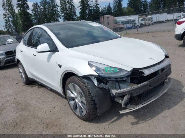 TESLA MODEL Y 2020 5yjygdee5lf009177