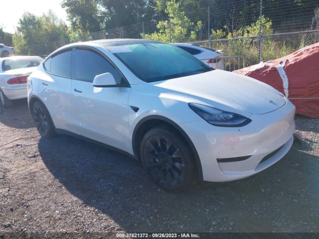 TESLA MODEL Y 2020 5yjygdee5lf011253