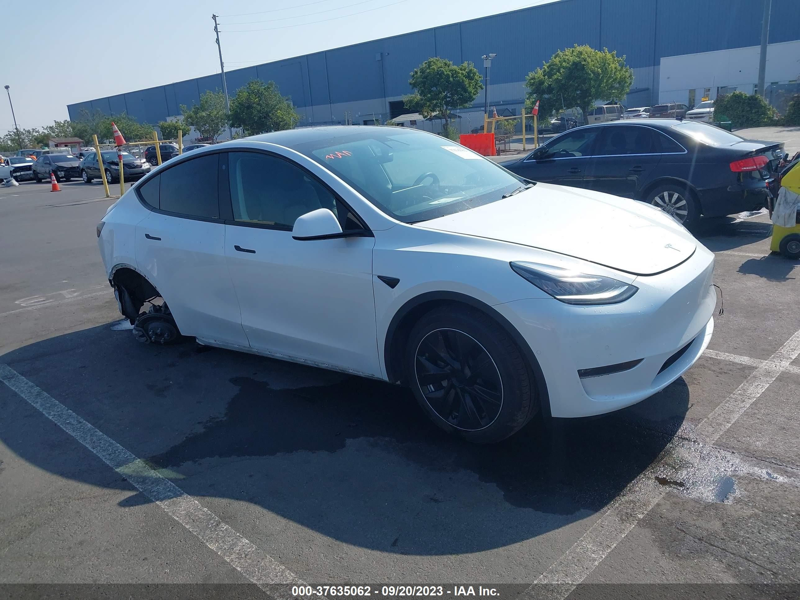 TESLA MODEL Y 2020 5yjygdee5lf015402