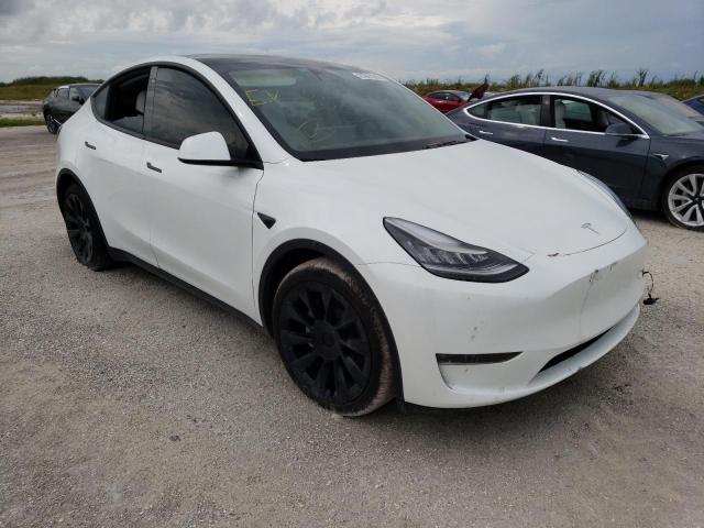 TESLA MODEL Y 2020 5yjygdee5lf039215