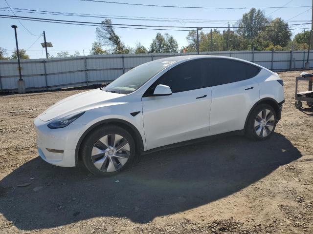 TESLA MODEL Y 2020 5yjygdee5lf044446