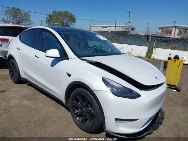 TESLA MODEL Y 2020 5yjygdee5lf058671