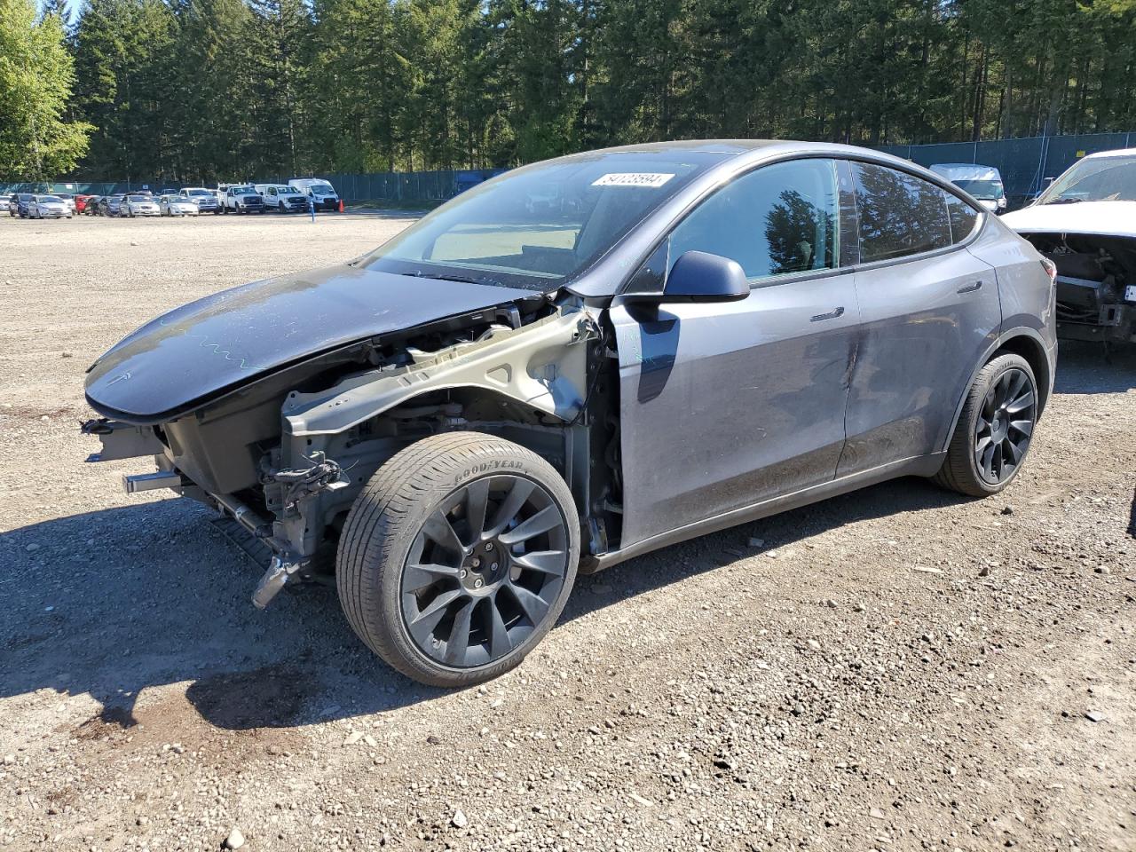 TESLA MODEL Y 2021 5yjygdee5mf062138