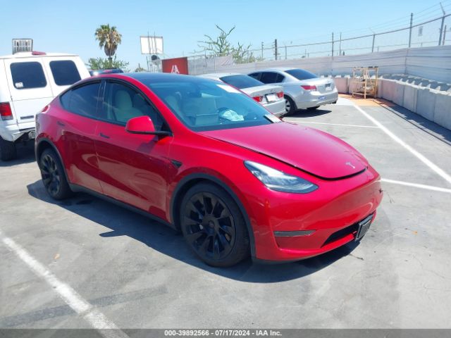 TESLA MODEL Y 2021 5yjygdee5mf075262