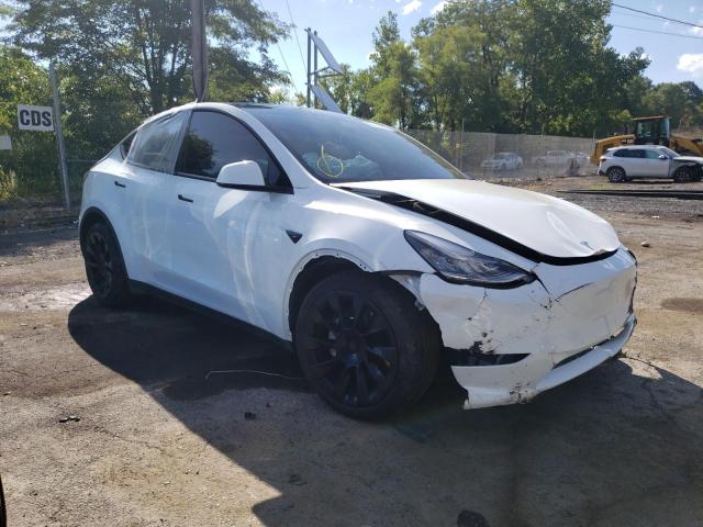 TESLA MODEL Y 2021 5yjygdee5mf075875