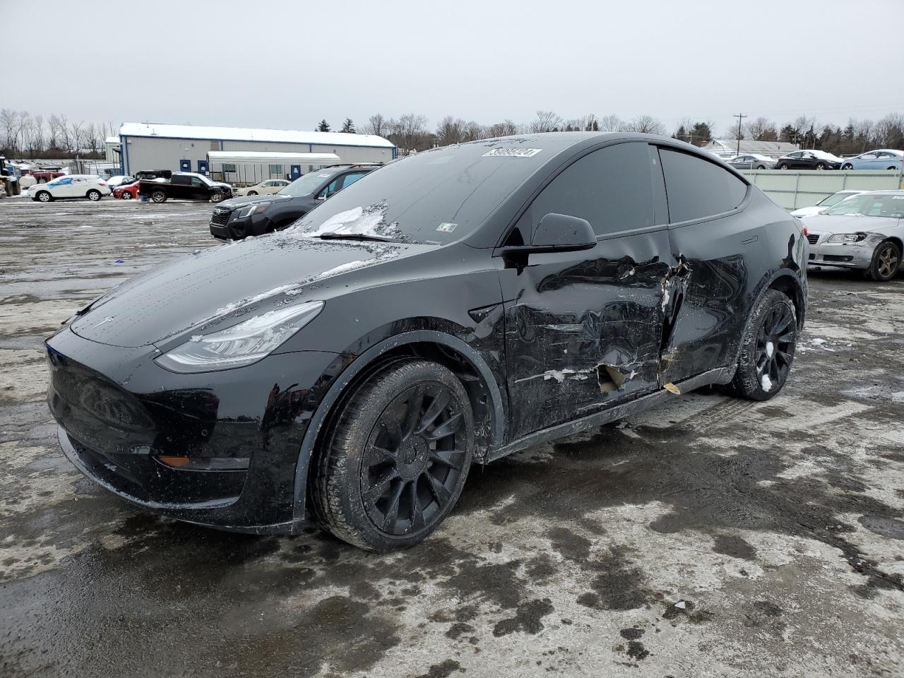 TESLA MODEL Y 2021 5yjygdee5mf089601