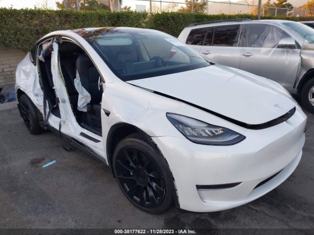 TESLA MODEL Y 2021 5yjygdee5mf102816