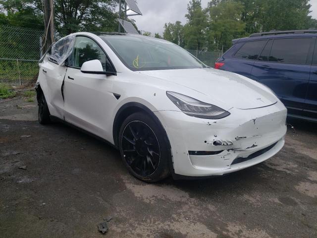 TESLA MODEL Y 2021 5yjygdee5mf111659