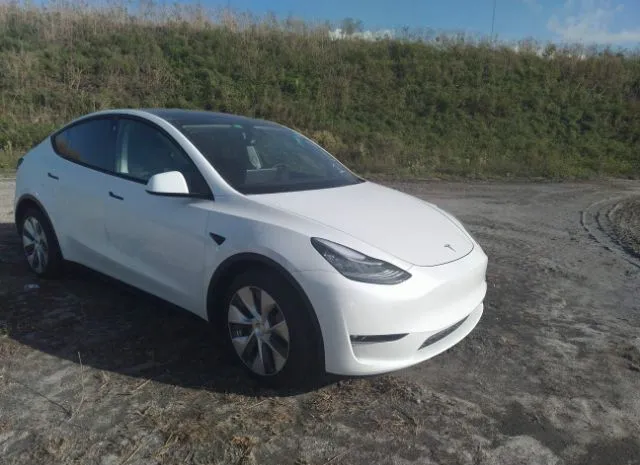 TESLA MODEL Y 2021 5yjygdee5mf118806