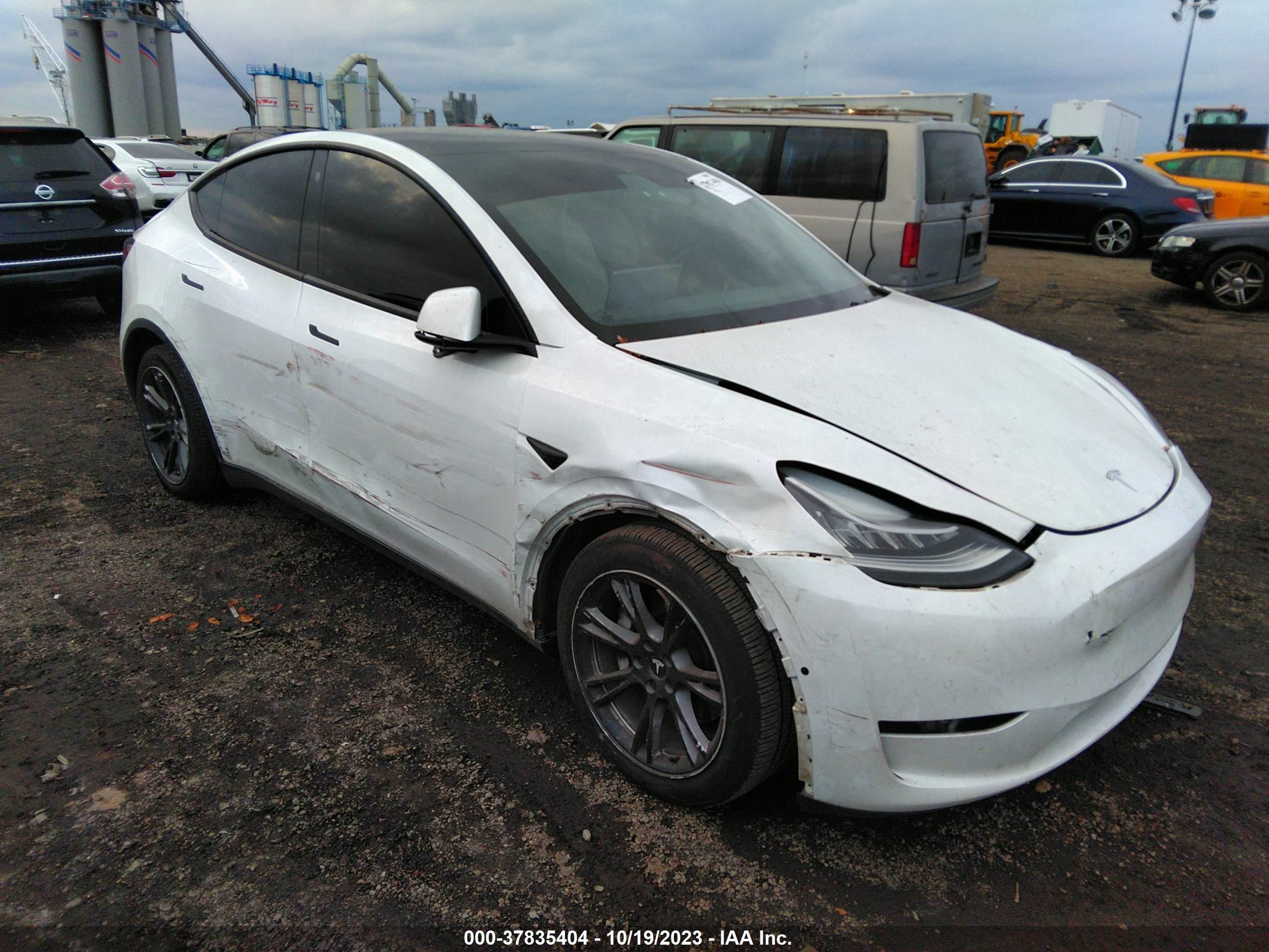 TESLA MODEL Y 2021 5yjygdee5mf130700