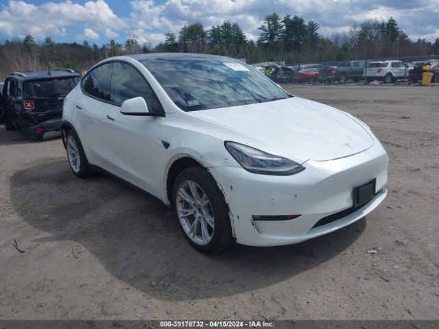 TESLA MODEL Y 2021 5yjygdee5mf148968