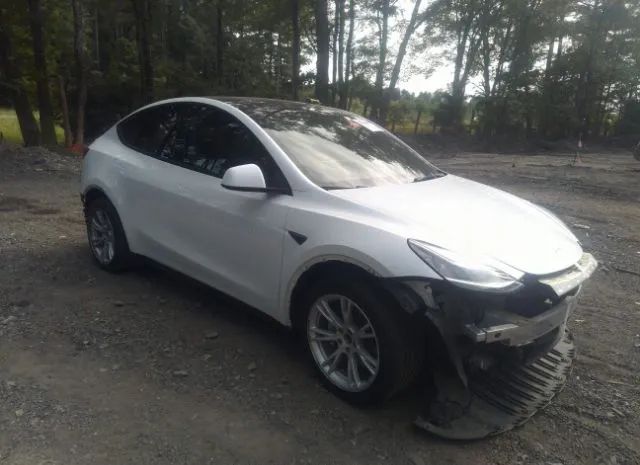 TESLA MODEL Y 2021 5yjygdee5mf174731