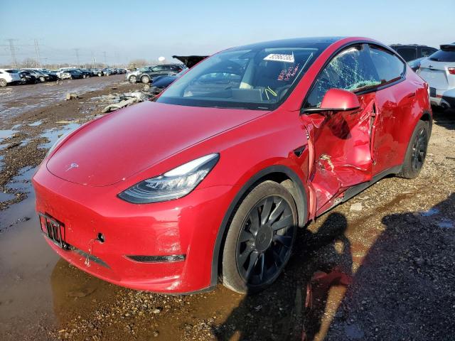 TESLA MODEL Y 2021 5yjygdee5mf176186