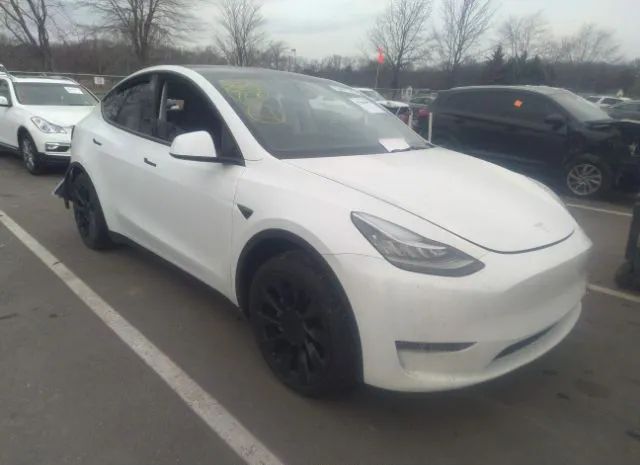 TESLA MODEL Y 2021 5yjygdee5mf183901