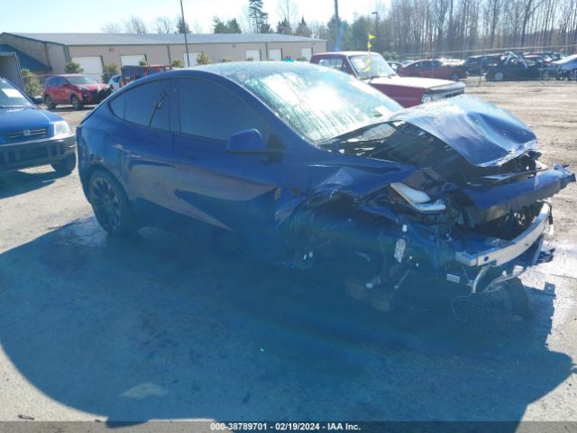 TESLA MODEL Y 2021 5yjygdee5mf188323