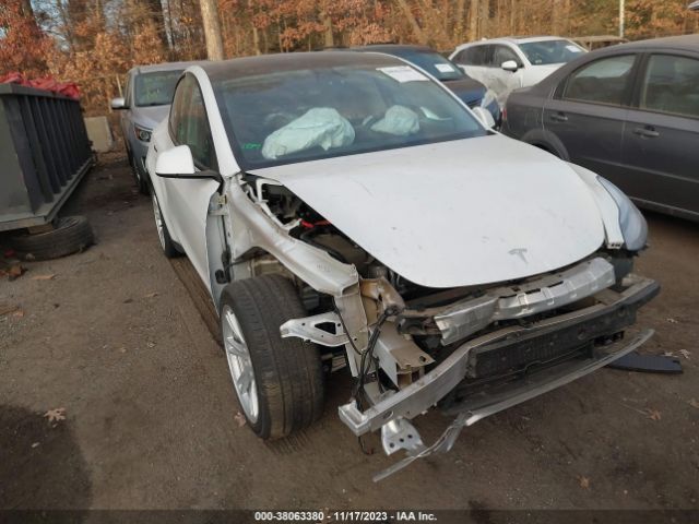 TESLA MODEL Y 2021 5yjygdee5mf203919