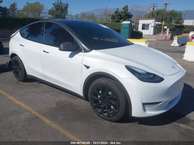 TESLA MODEL Y 2021 5yjygdee5mf228979