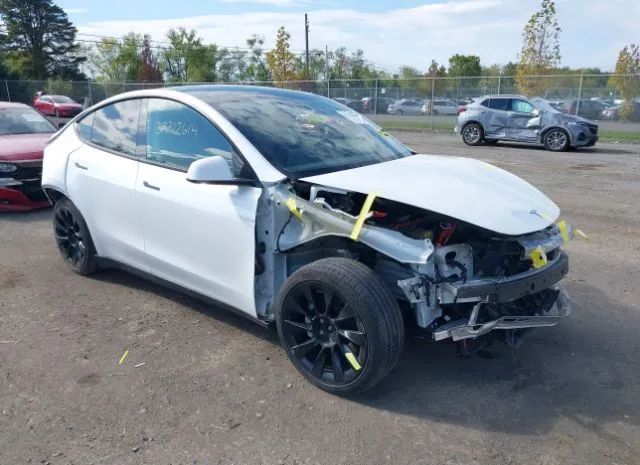 TESLA MODEL Y 2020 5yjygdee6lf008412