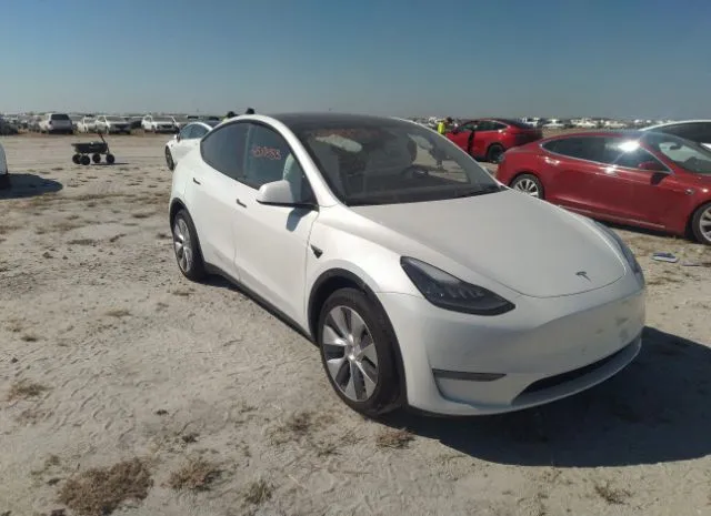 TESLA MODEL Y 2020 5yjygdee6lf019023