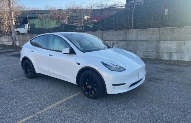 TESLA MODEL Y 2020 5yjygdee6lf022066