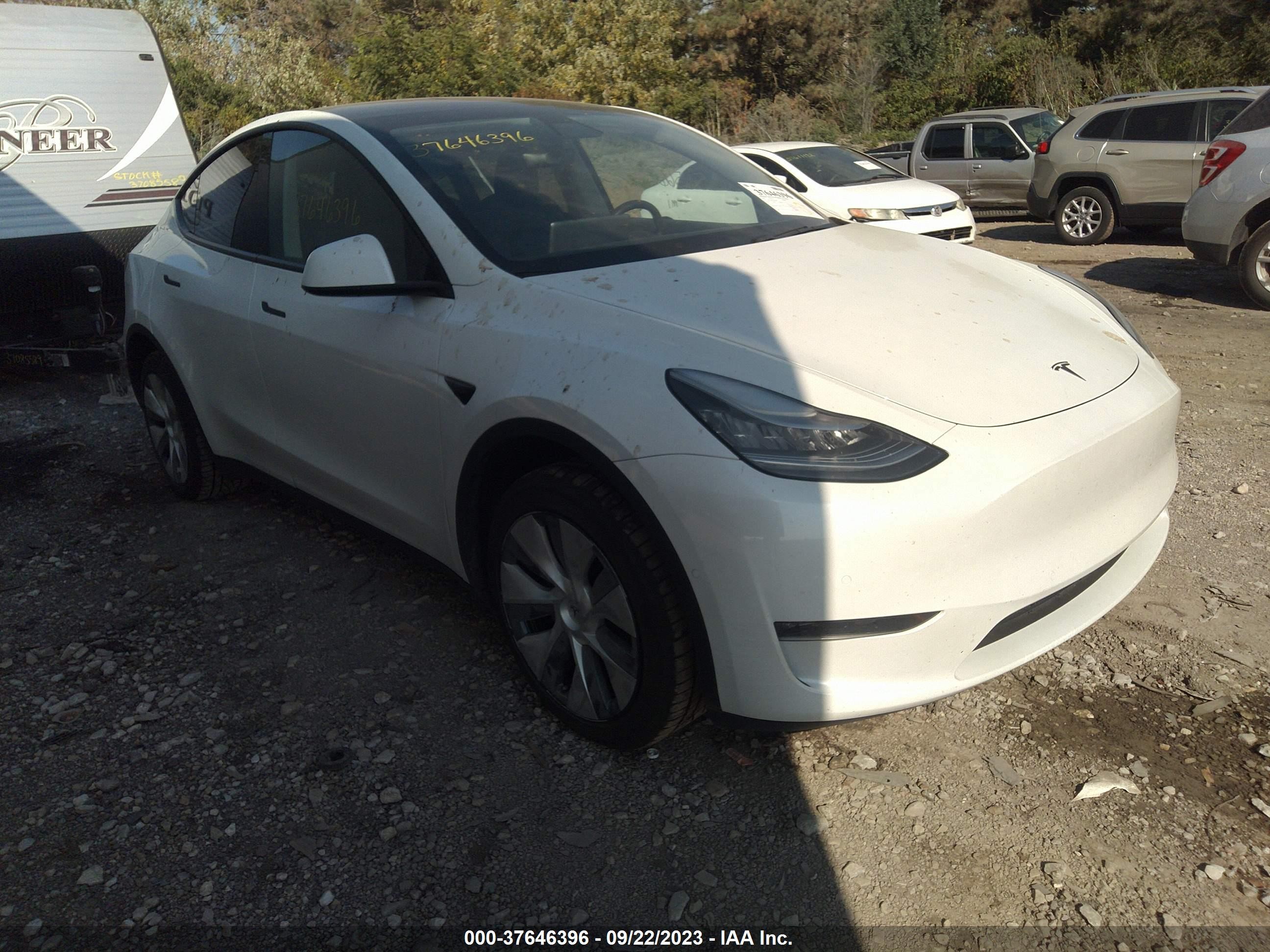 TESLA MODEL Y 2020 5yjygdee6lf024898