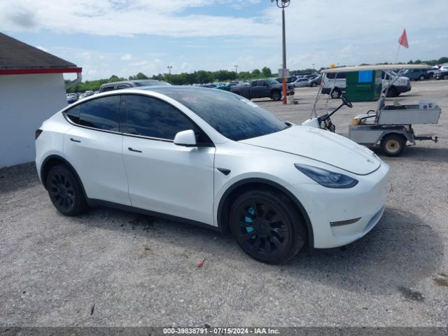 TESLA MODEL Y 2020 5yjygdee6lf030894