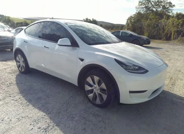 TESLA MODEL Y 2020 5yjygdee6lf035092