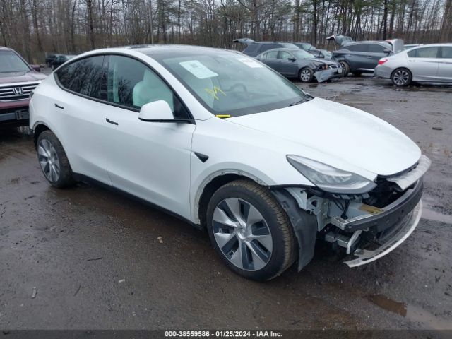 TESLA MODEL Y 2020 5yjygdee6lf036355