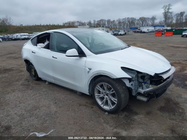 TESLA MODEL Y 2020 5yjygdee6lf046500