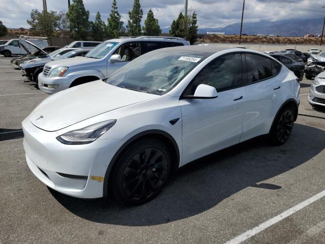 TESLA MODEL Y 2020 5yjygdee6lf059019