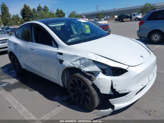 TESLA MODEL Y 2021 5yjygdee6mf087002