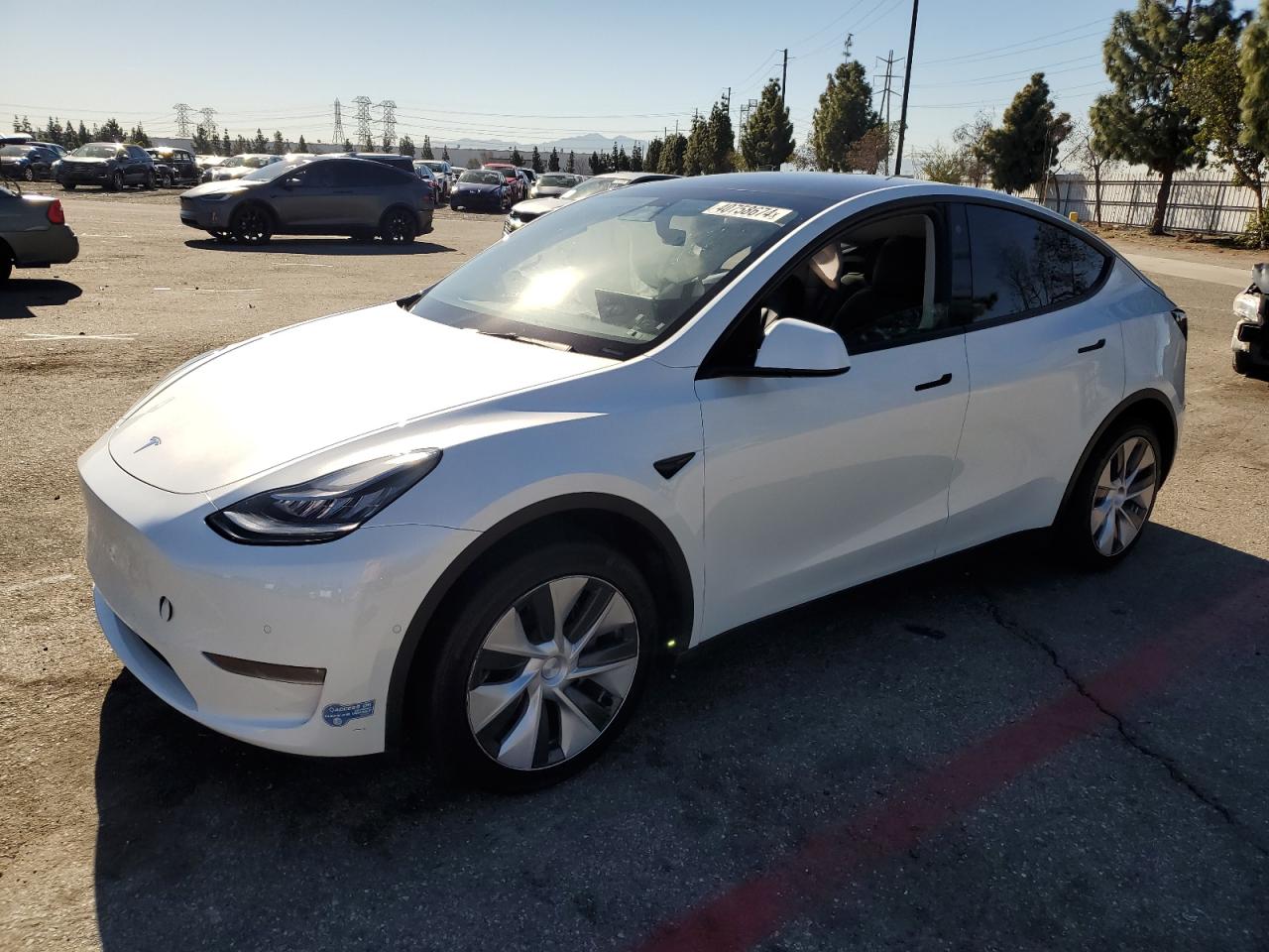 TESLA MODEL Y 2021 5yjygdee6mf088313