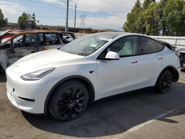 TESLA MODEL Y 2021 5yjygdee6mf091311