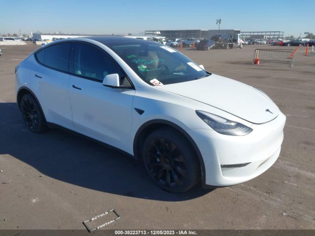 TESLA MODEL Y 2021 5yjygdee6mf097061