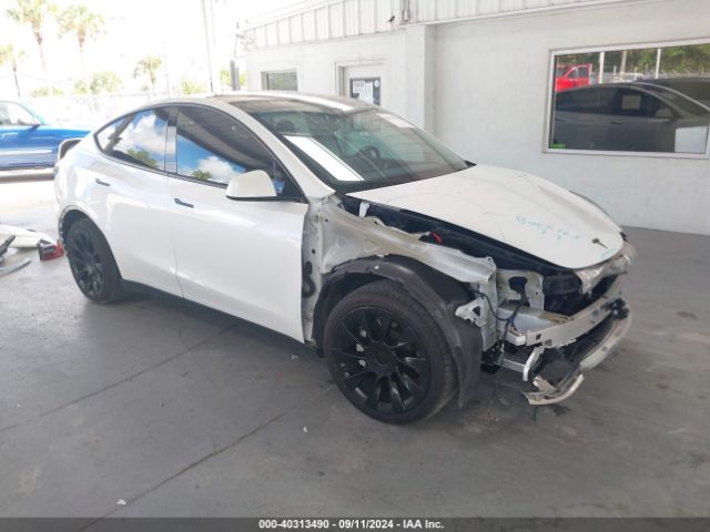 TESLA MODEL Y 2021 5yjygdee6mf111864