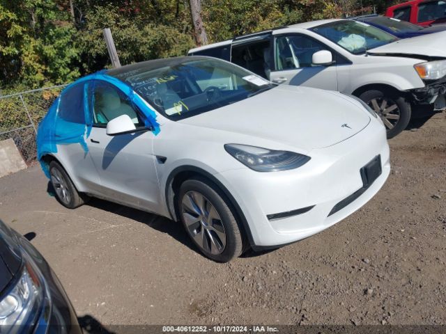 TESLA MODEL Y 2021 5yjygdee6mf118121