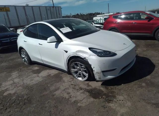 TESLA MODEL Y 2021 5yjygdee6mf124971