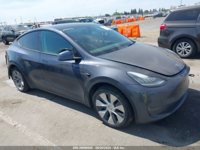 TESLA MODEL Y 2021 5yjygdee6mf173202