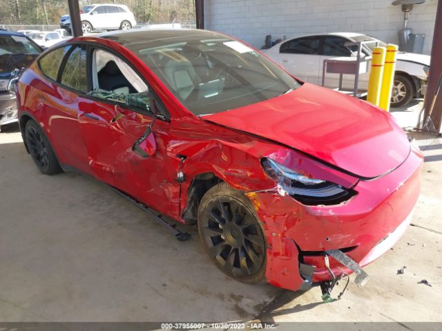 TESLA MODEL Y 2021 5yjygdee6mf181168