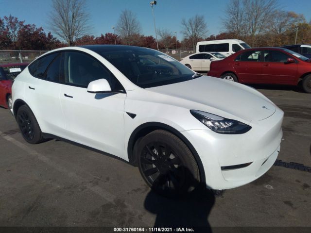 TESLA MODEL Y 2021 5yjygdee6mf233091