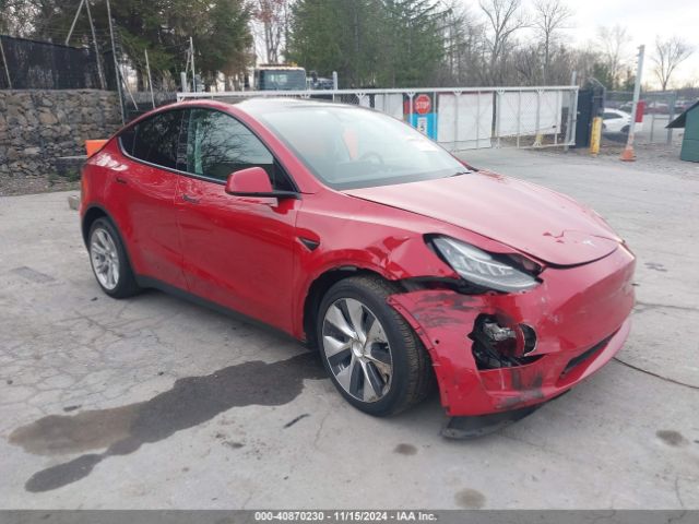 TESLA MODEL Y 2021 5yjygdee6mf234421