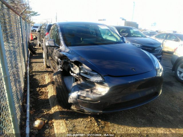 TESLA MODEL Y 2021 5yjygdee6mf305424