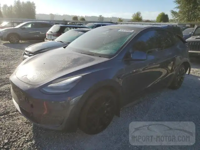 TESLA MODEL Y 2020 5yjygdee7lf016356