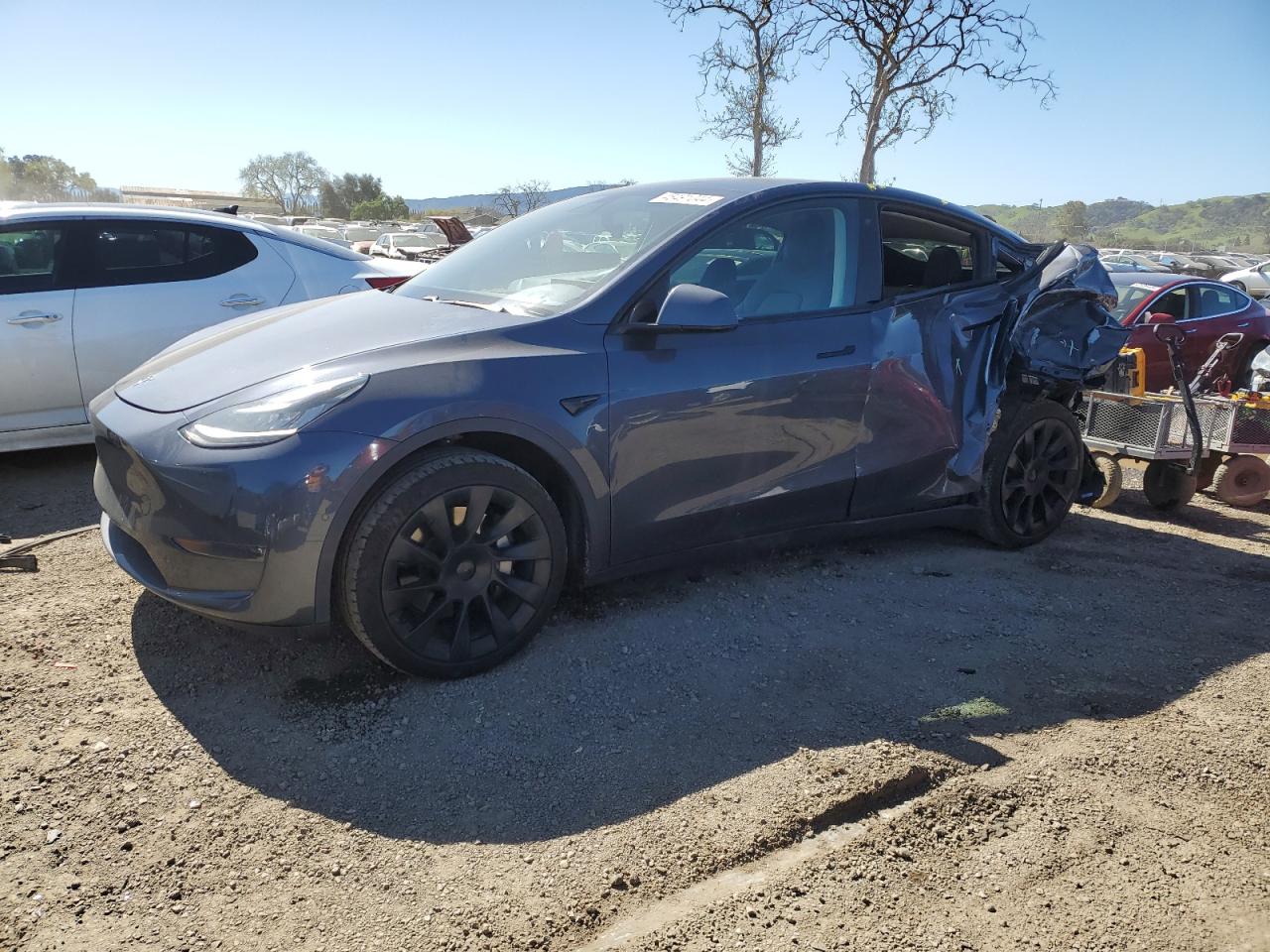 TESLA MODEL Y 2020 5yjygdee7lf025493