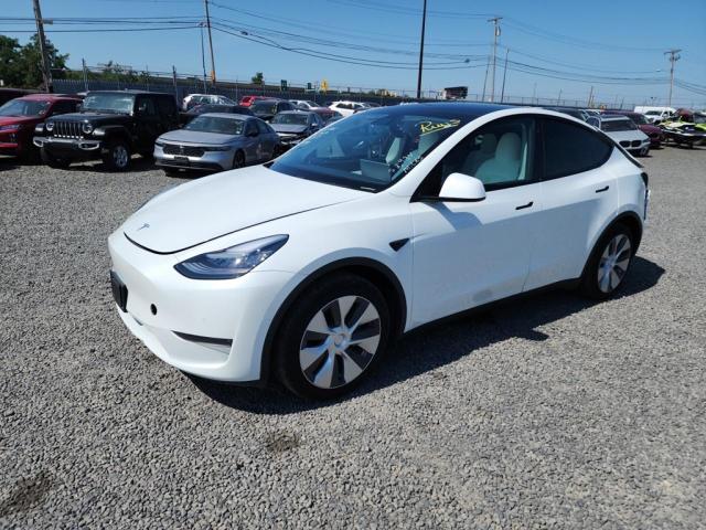 TESLA MODEL Y 2020 5yjygdee7lf049292