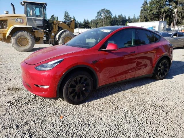 TESLA MODEL Y 2021 5yjygdee7mf080348