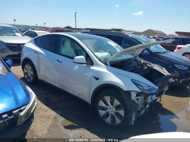 TESLA MODEL Y 2021 5yjygdee7mf105264