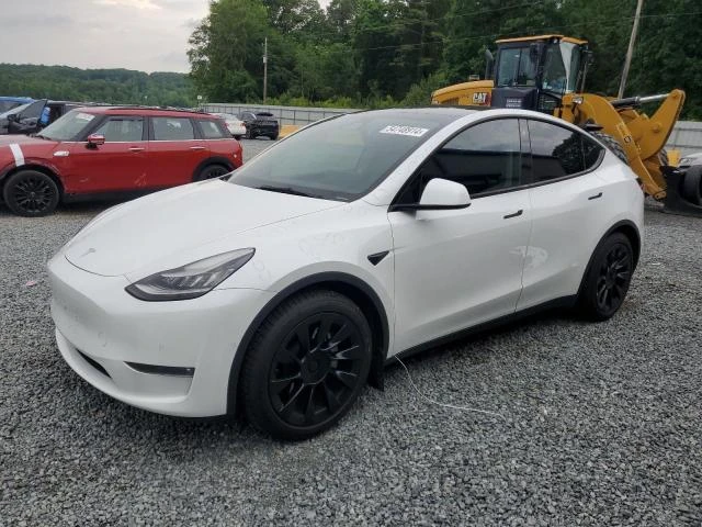 TESLA MODEL Y 2021 5yjygdee7mf108021