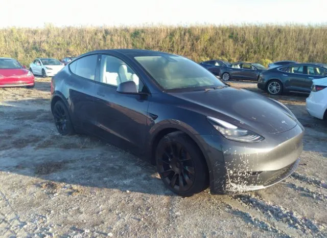 TESLA MODEL Y 2021 5yjygdee7mf108651